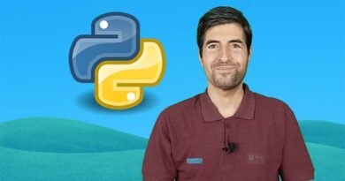 Python beginners course